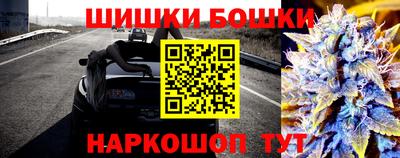 прущие крисы Нарткала